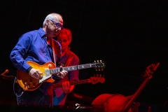 Knopfler_Arena_22-07-0142