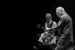 Knopfler_Arena_22-07-0211