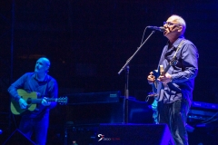 Knopfler_Arena_22-07-0231