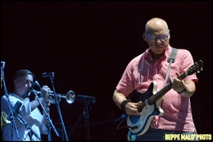 Mark-Knopfler20