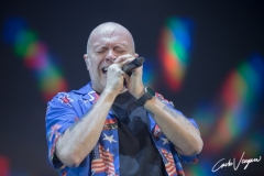 Max Pezzali live in Bologna