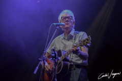 Nick Lowe performs live at Ferrara Comfort Festival 2021