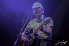 Nick Lowe performs live at Ferrara Comfort Festival 2021