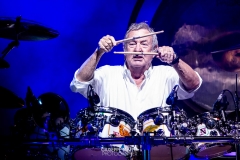 NickMason_Roma_GiuseppeMaffia_010