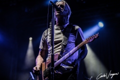 Paul Weller live in Bologna