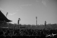 Vasco Rossi live in Bologna