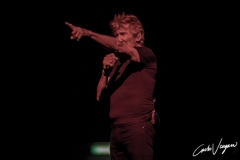 Roger Waters live in Bologna