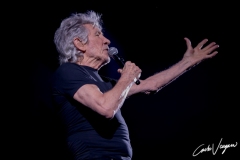 Roger Waters live in Bologna