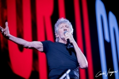 Roger Waters live in Bologna