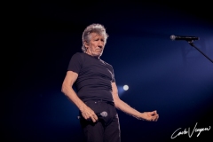 Roger Waters live in Bologna