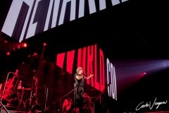 Roger Waters live in Bologna