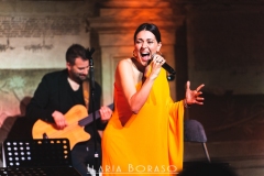 Simona Molinari, Musica, Padova, Sala dei Giganti