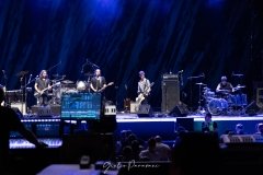 Siriana @ Giulio Paravani