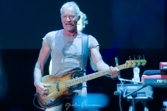 Sting @ Giulio Paravani / The Front Row