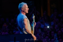 Sting @ Giulio Paravani / The Front Row