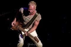 Sting @ Giulio Paravani / The Front Row