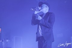 Subsonica live Modena 2022