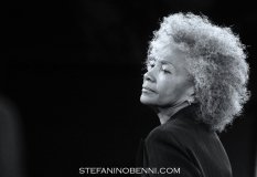 Sydney-Ellis-14.01.24-MI-5-Ph-stefaninobenni.com_