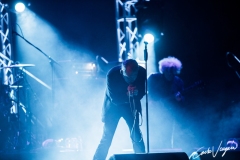 the jesus and mary chain live in Parma