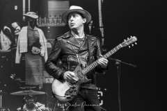 The Libertines © Giulio Paravani / The Front Row