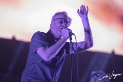 The National live at Lido di Camaiore