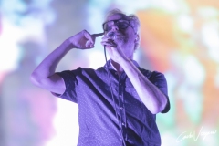 The National live at Lido di Camaiore