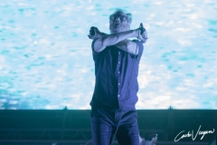 The National live at Lido di Camaiore