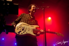 The Wombats live at Bologna