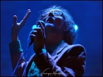 JARVIS-COCKER-TODAYS-DAY3-04-Copia