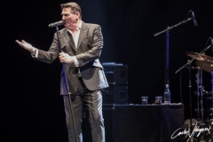 Tony Hadley live in Ferrara