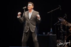 Tony Hadley live in Ferrara