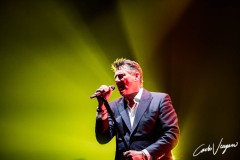 Tony Hadley ive in Carpi