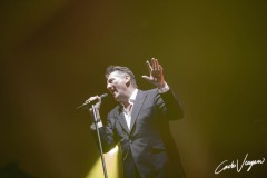 Tony Hadley ive in Carpi