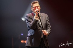 Tony Hadley ive in Carpi