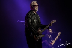 Umberto Tozzi live in Bologna