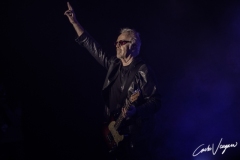 Umberto Tozzi live in Bologna