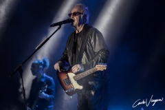 Umberto Tozzi live in Bologna