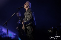 Umberto Tozzi live in Bologna