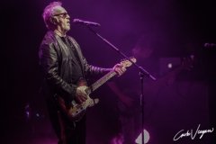 Umberto Tozzi live in Bologna