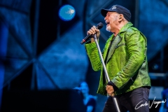 Vasco Rossi live in Bologna