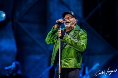 Vasco Rossi live in Bologna