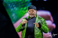 Vasco Rossi live in Bologna