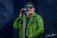 Vasco Rossi live in Bologna