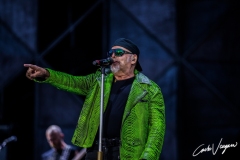 Vasco Rossi live in Bologna