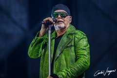Vasco Rossi live in Bologna
