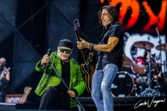 Vasco Rossi live in Bologna