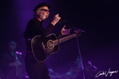 Venditti & De Gregori live in Bologna