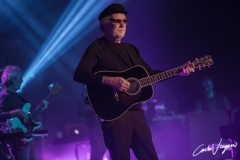 Venditti & De Gregori live in Bologna