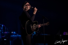 Venditti & De Gregori live in Bologna