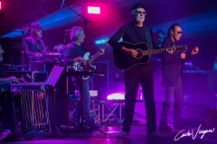 Venditti & De Gregori live in Bologna